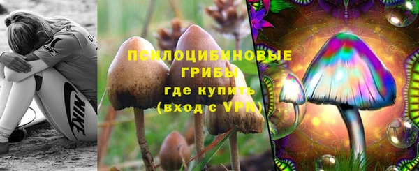 MDMA Елизово