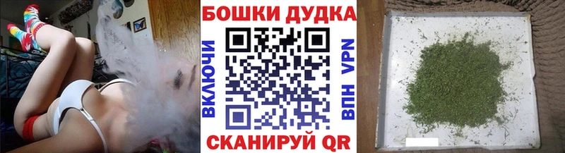 Бошки Шишки ГИДРОПОН  Купить закладки  Мичуринск 